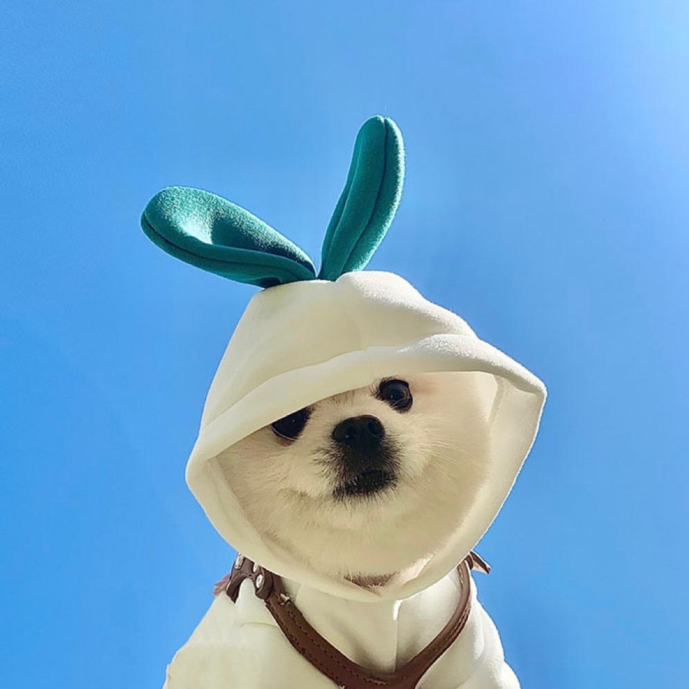 呀呀呀静静