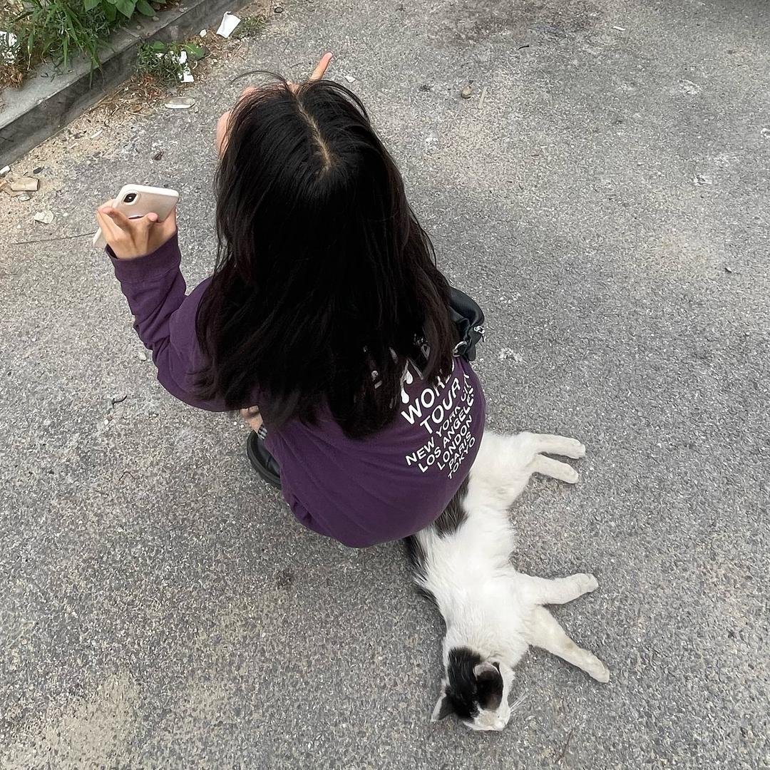 🐾.