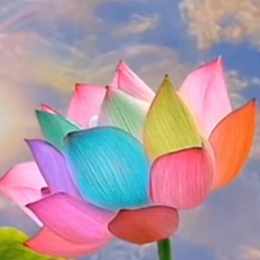 助力祁隆
