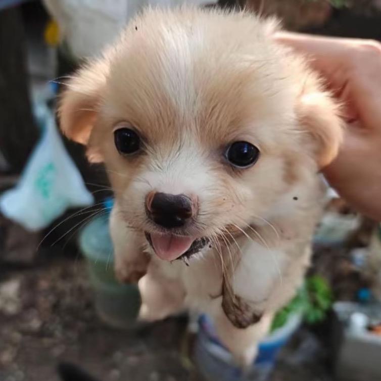 骂我的人脑子都不正常