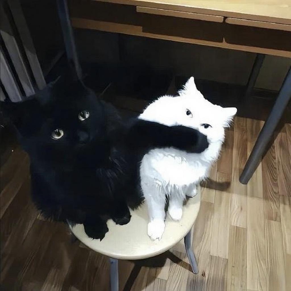 x2