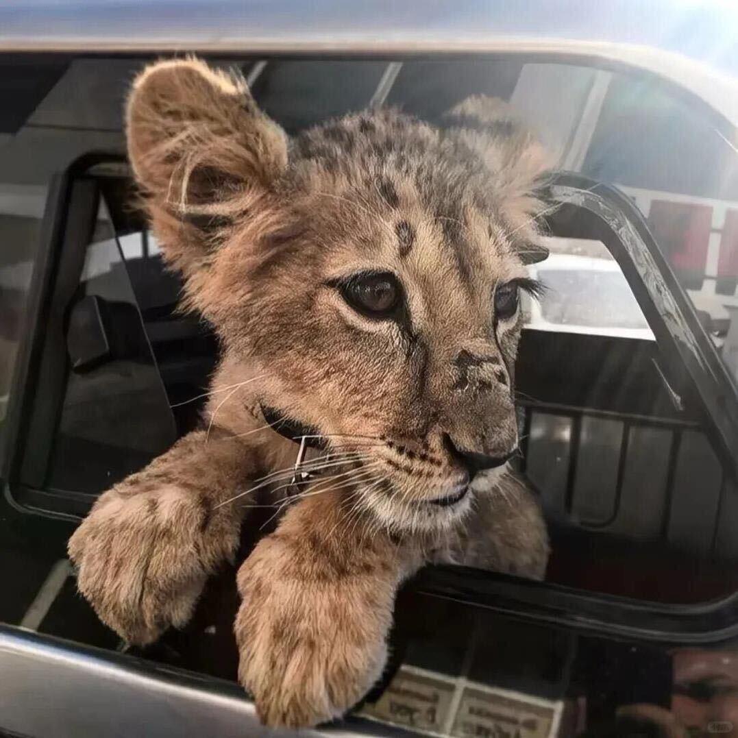 1 ￴ ￴￴￴￴￴ ￴ ￴