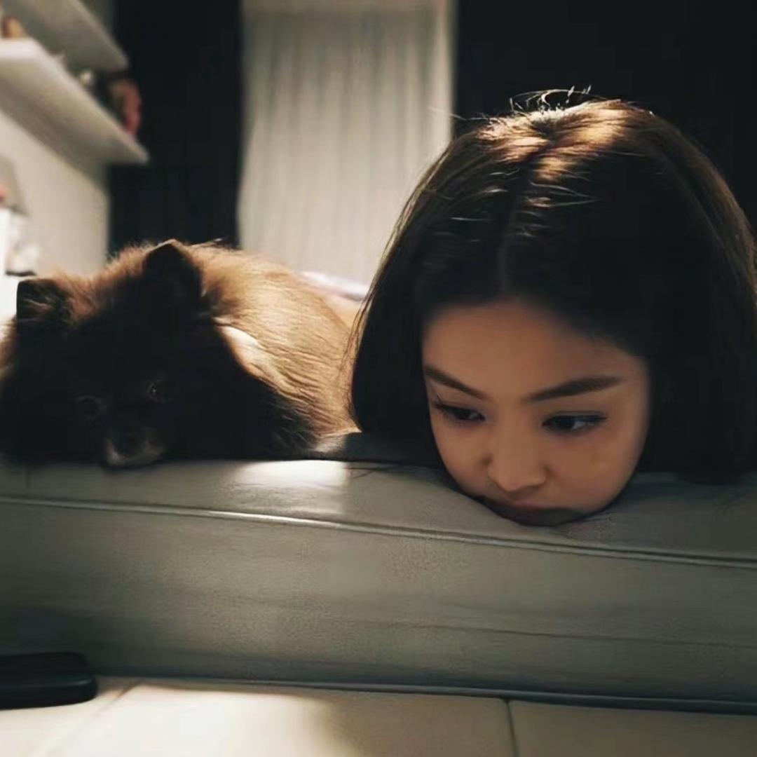 戴戴·