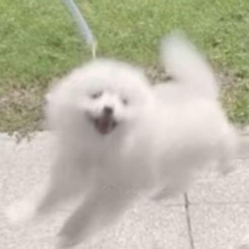 十九