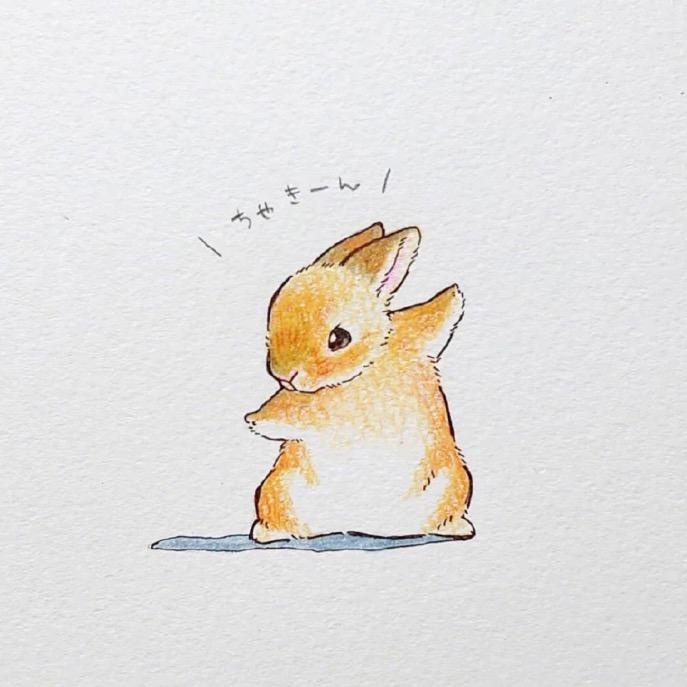 熊猫猫
