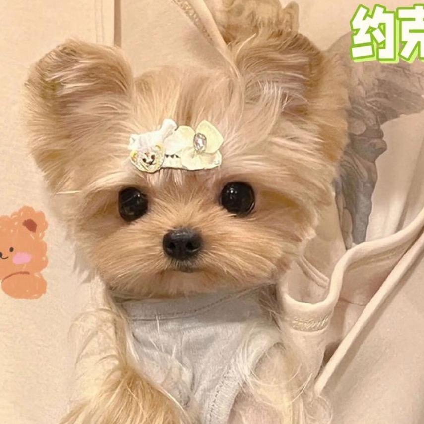 哦～