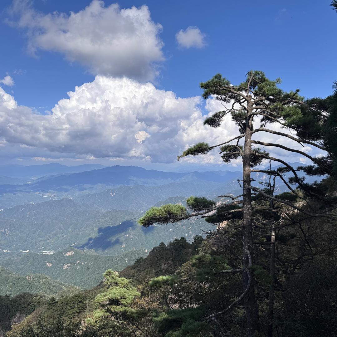 轩伊（梅干菜扣肉烧饼）