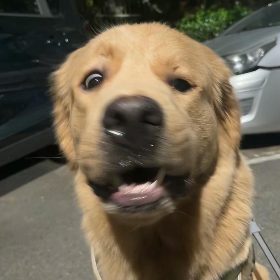 落落落比