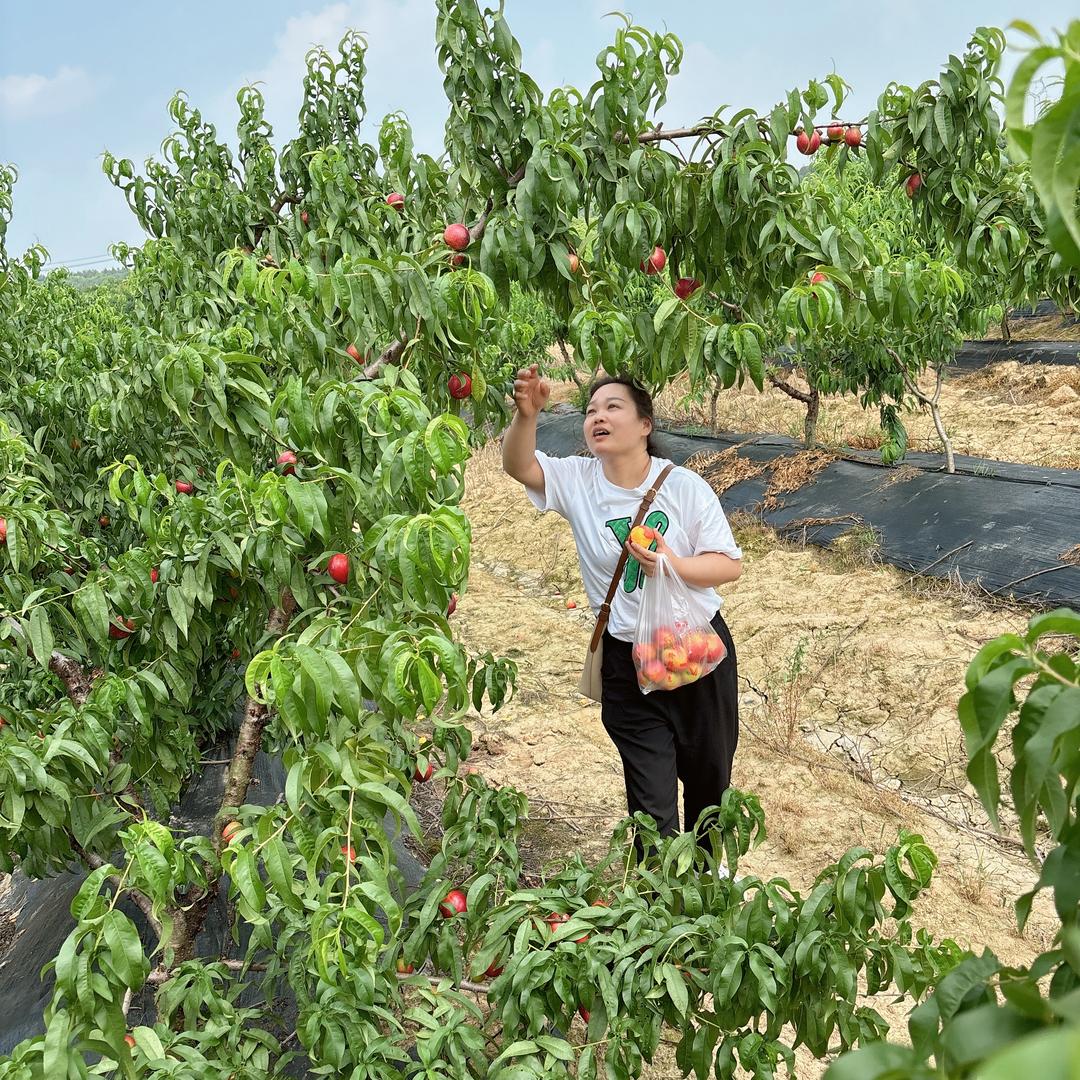 意尔康元春杨倩