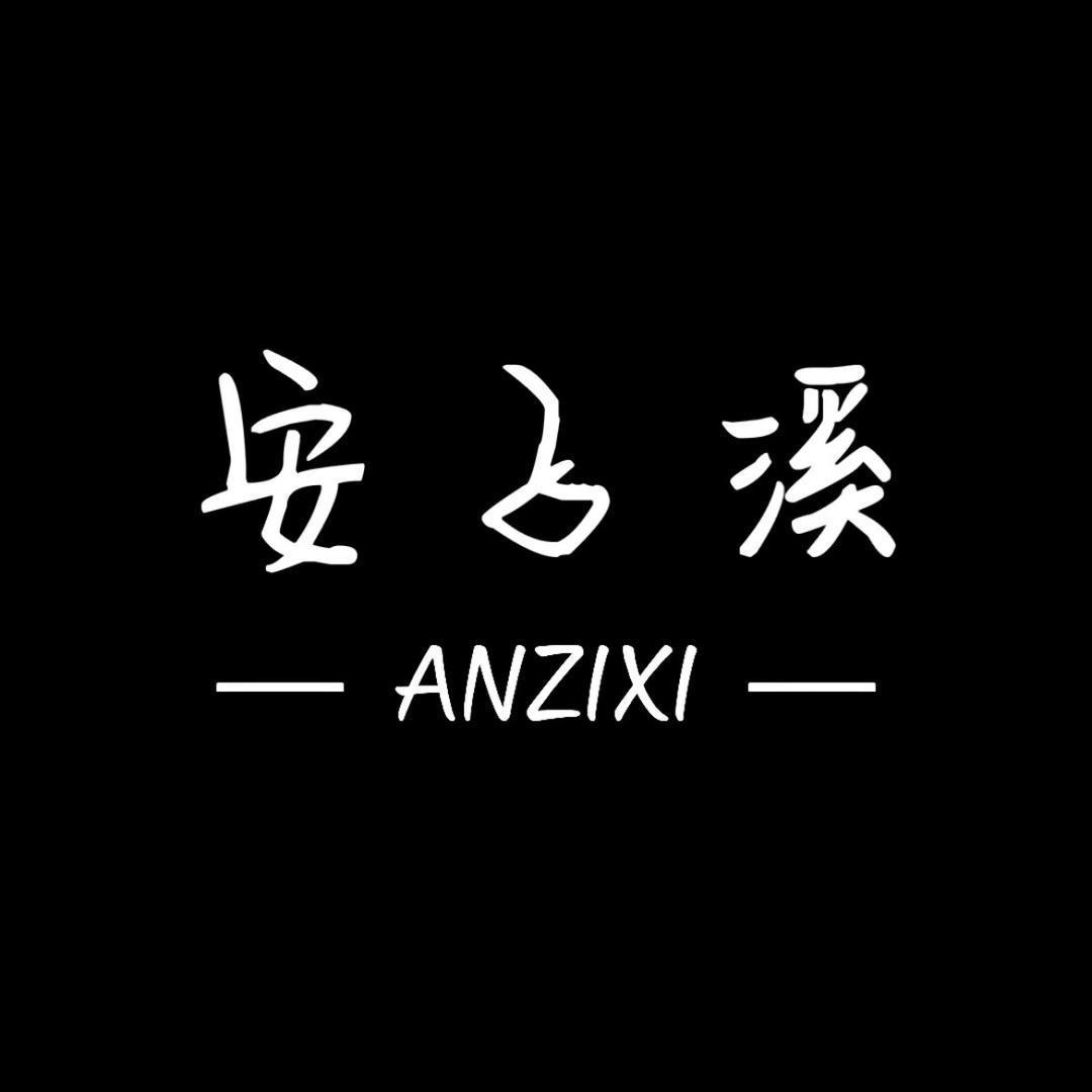 安子溪 轻奢女包