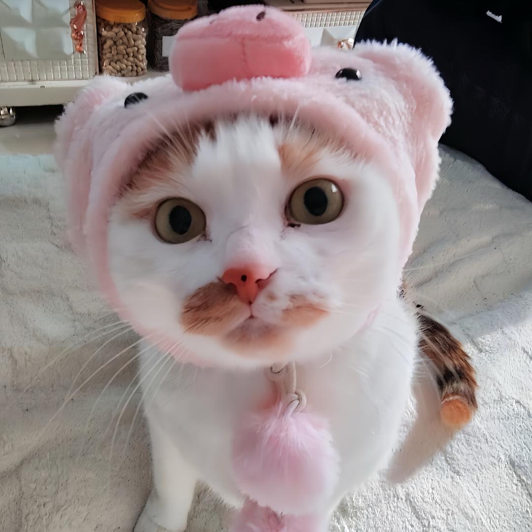 摩西🌈