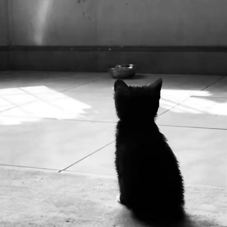 丨.