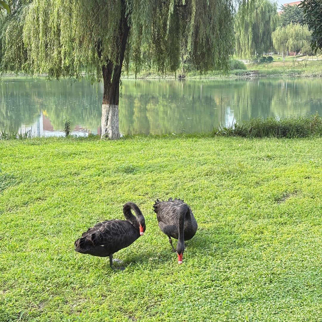 德阳交院王老师