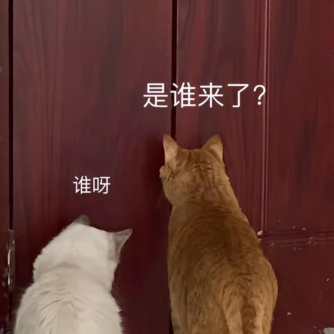 CS2葡萄