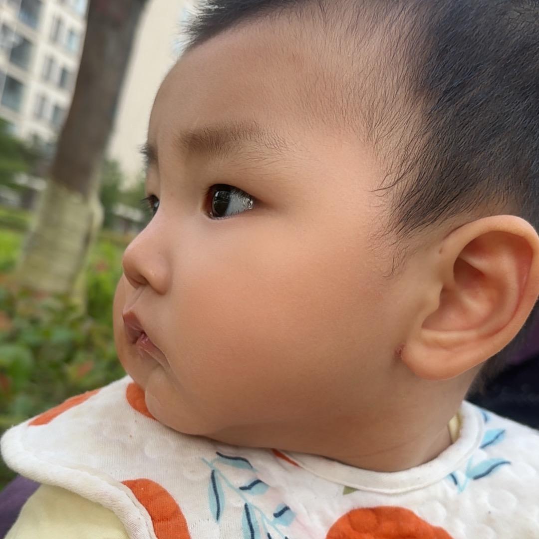凡凡的成长记录