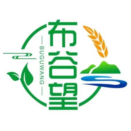 君道子（健康圈）