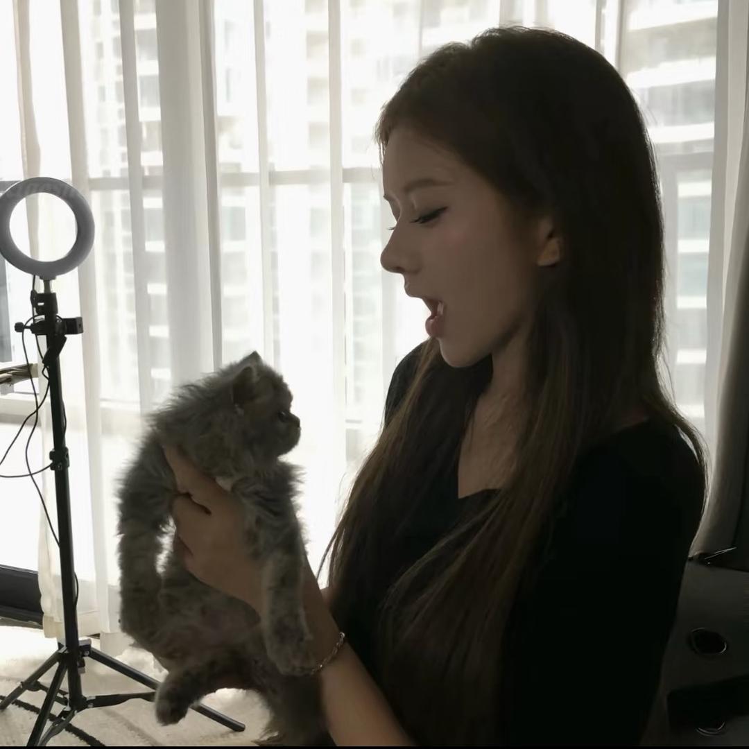 美美公主