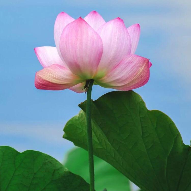 桦幸科技生活馆