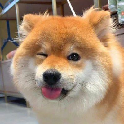 哈哈。
