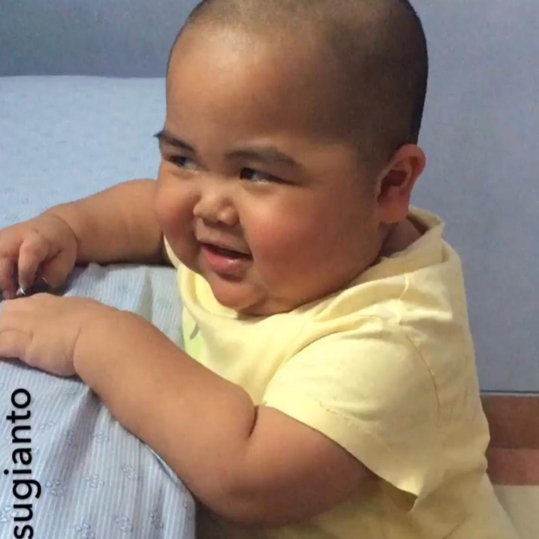 打蛋今天吃饱了吗？