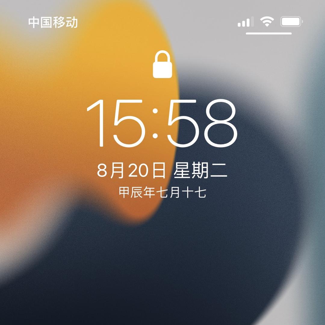 95032103319