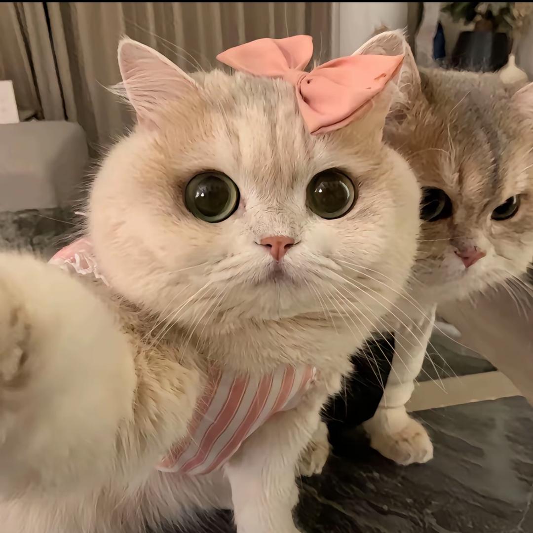 40岁爆帅小学生