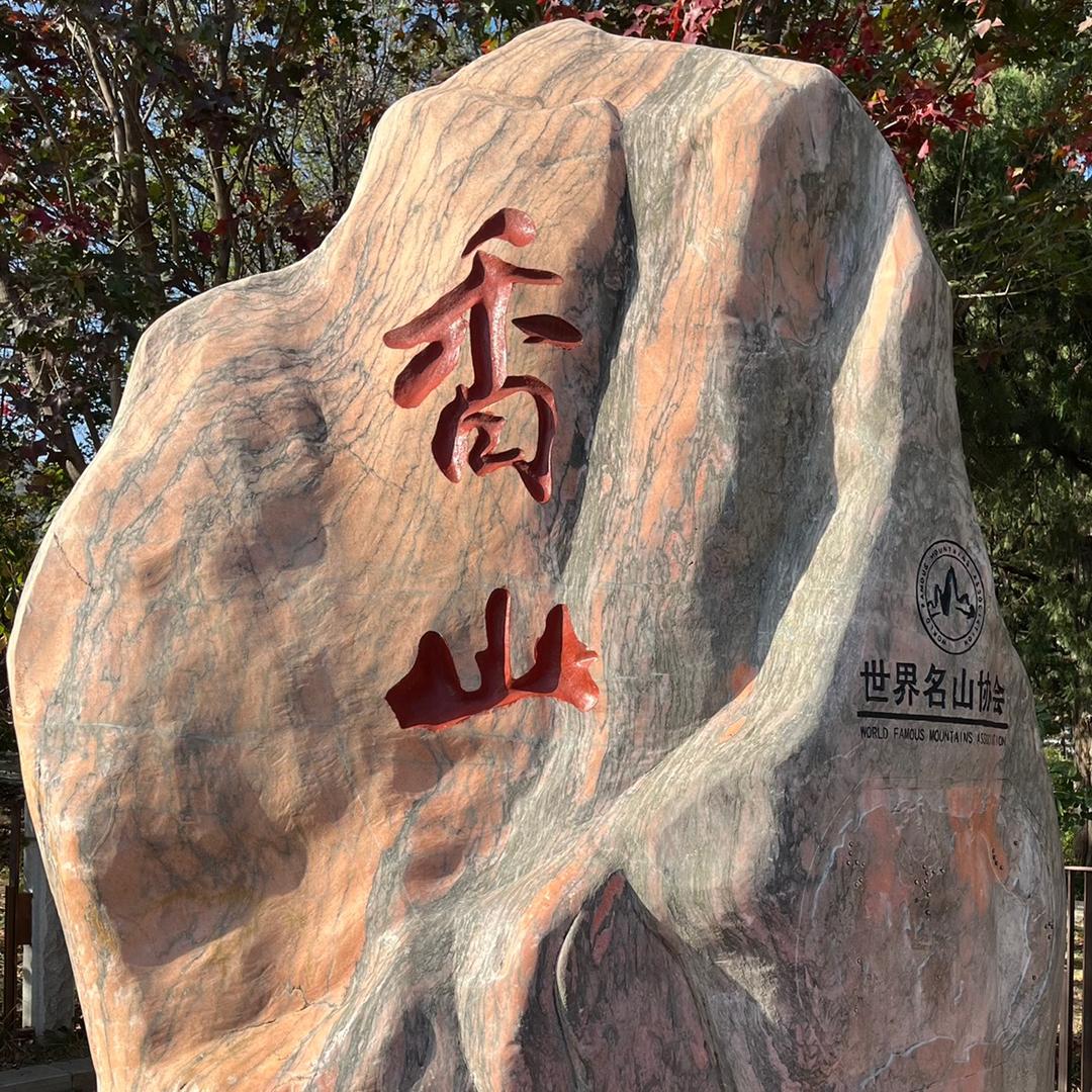 🐰春竹慧之秋兰叶