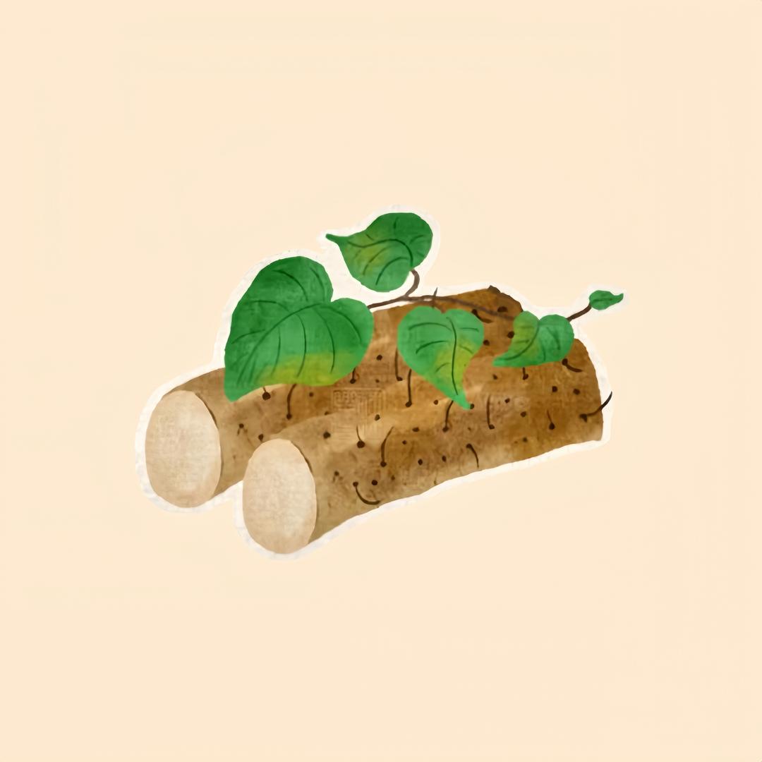 怀参源垆土铁棍怀山药