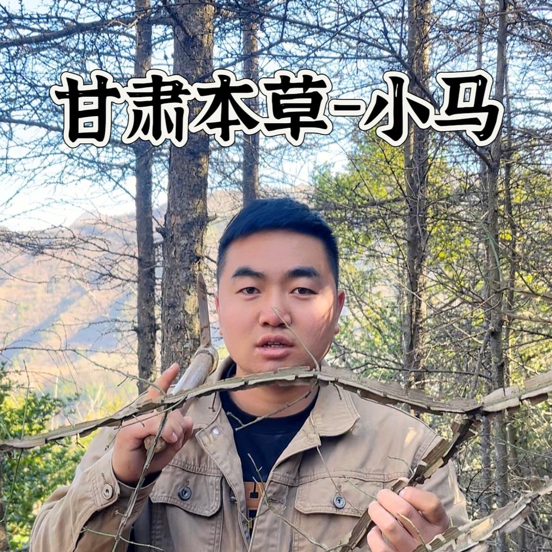 陇藤堂陇岷源滋补养生专卖店