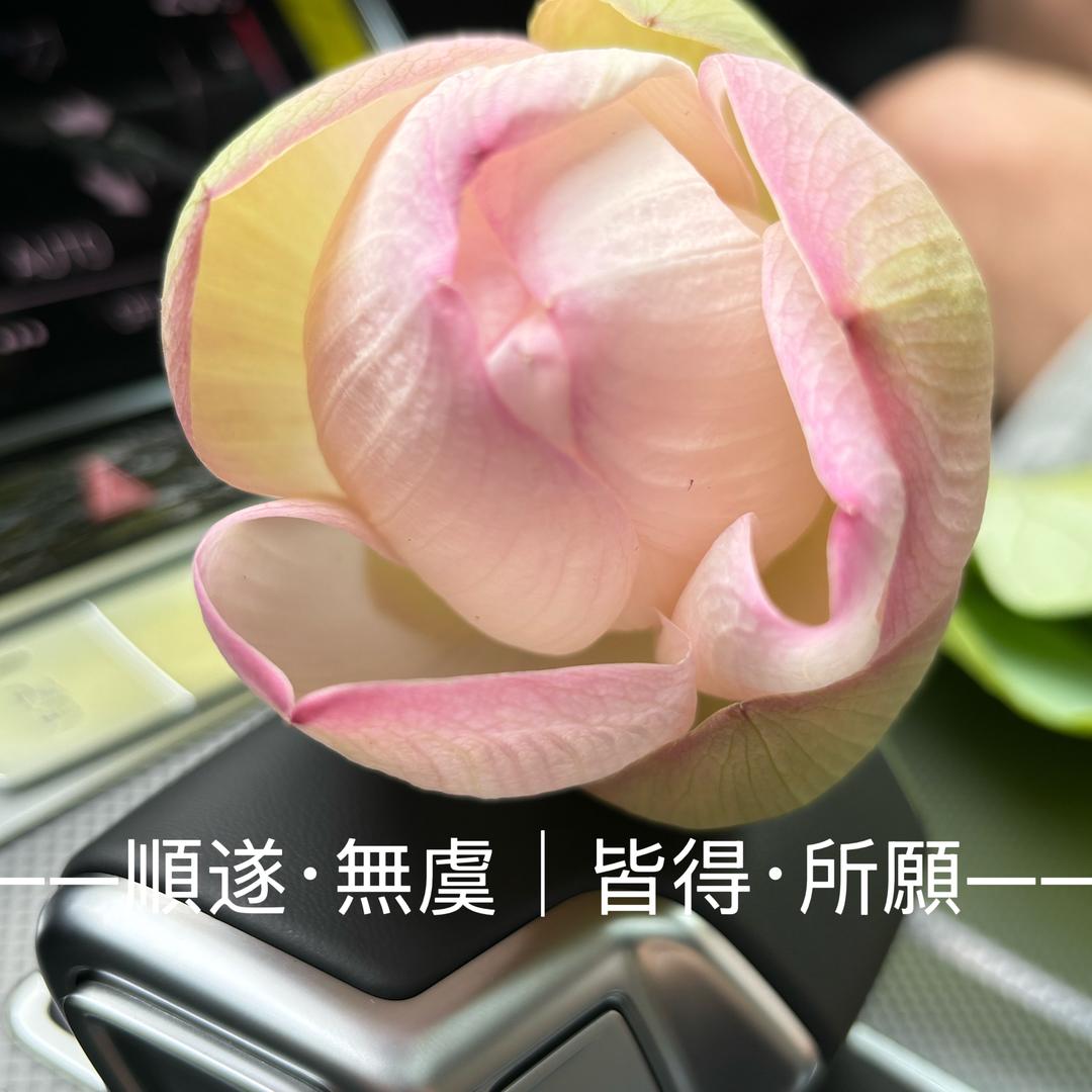 老粮票大食堂&陈এ⁵²º᭄এ