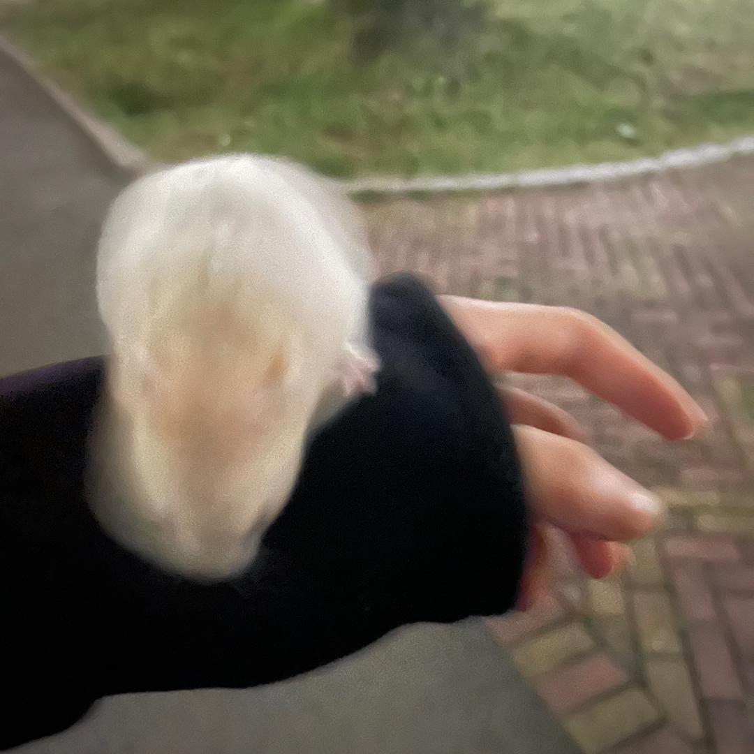 一头驴