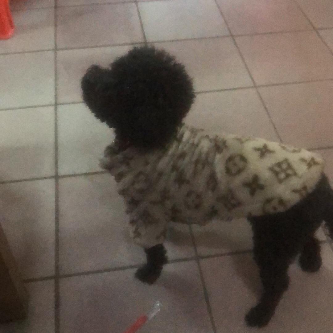 可乐摇匀才好喝