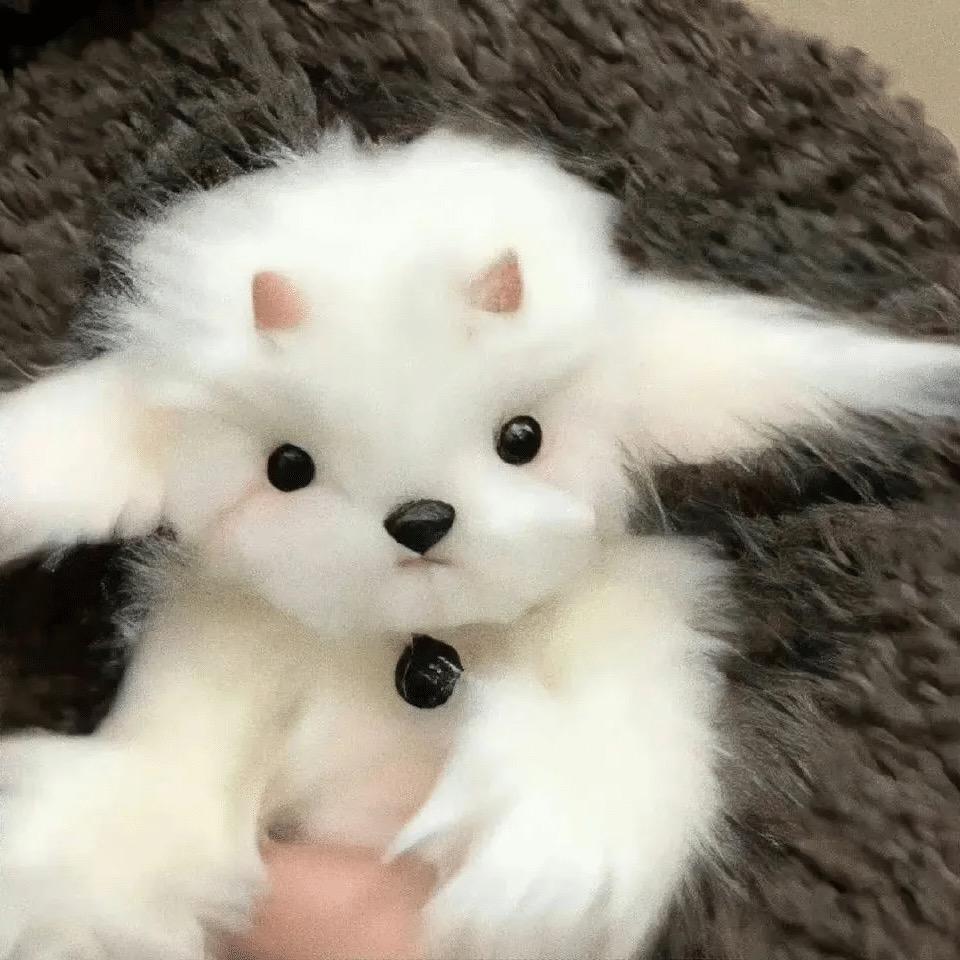 好运气