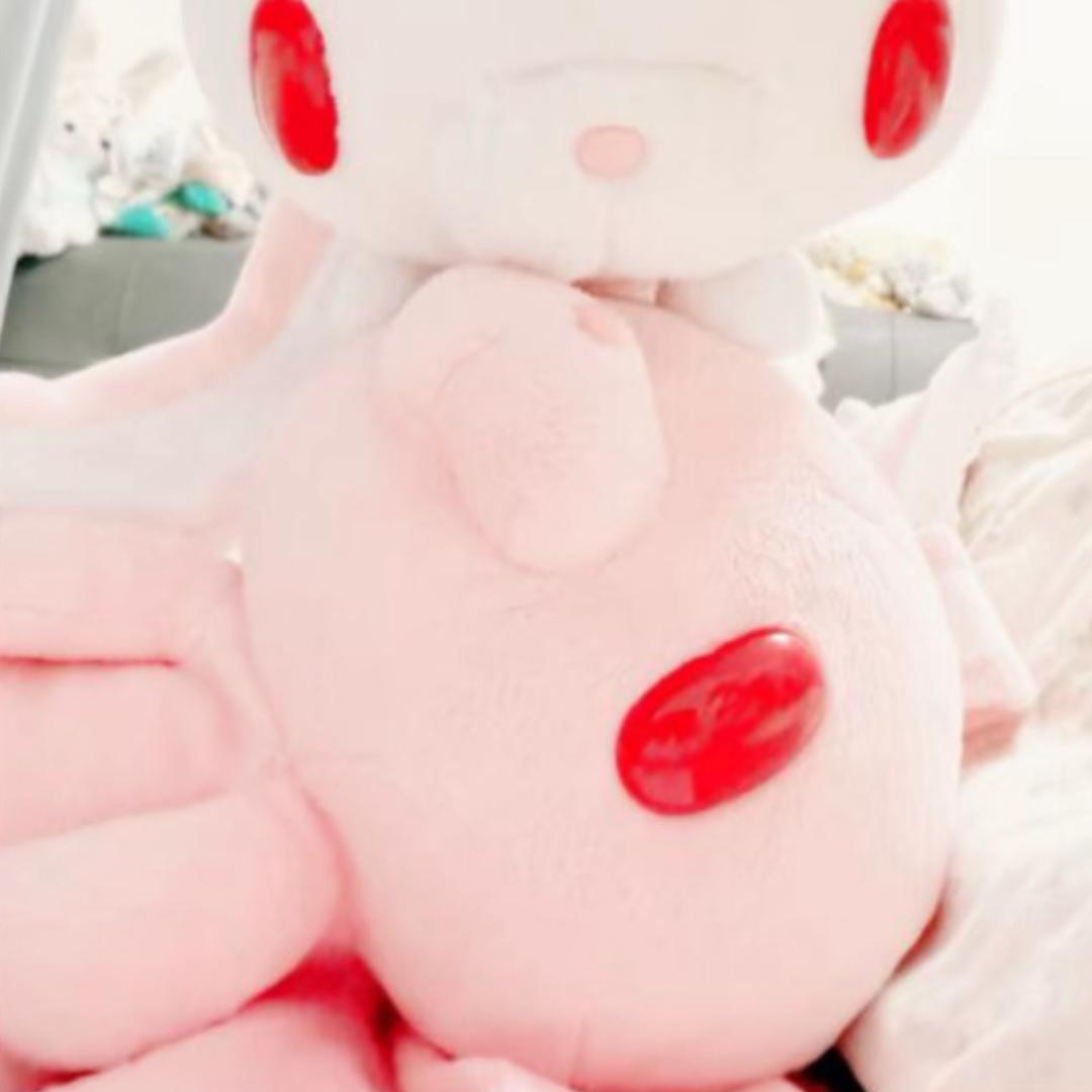 ʚ呆小布ɞ