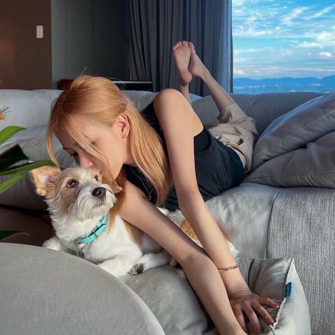 茉  莉