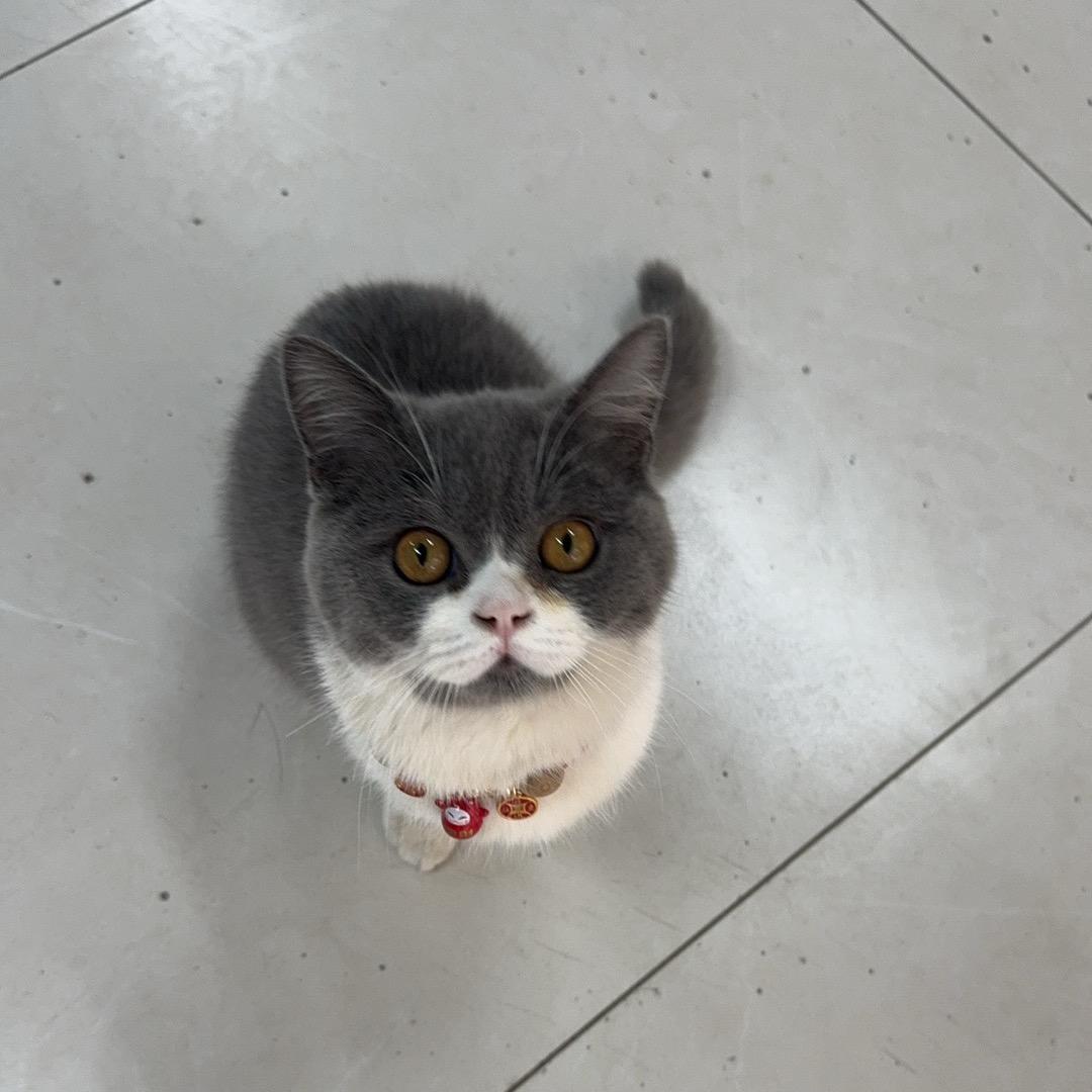 尊才说电商仓库（文哥团队)