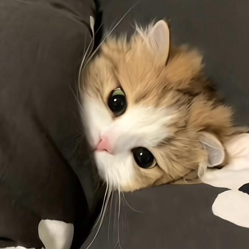 小秦（）