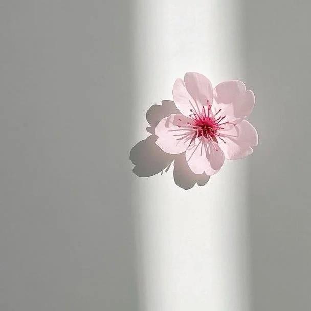 如意
