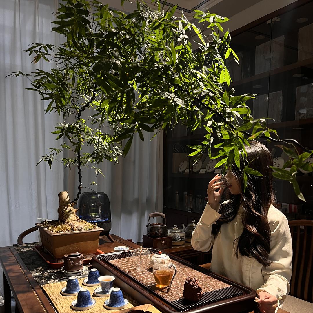 子琪山房