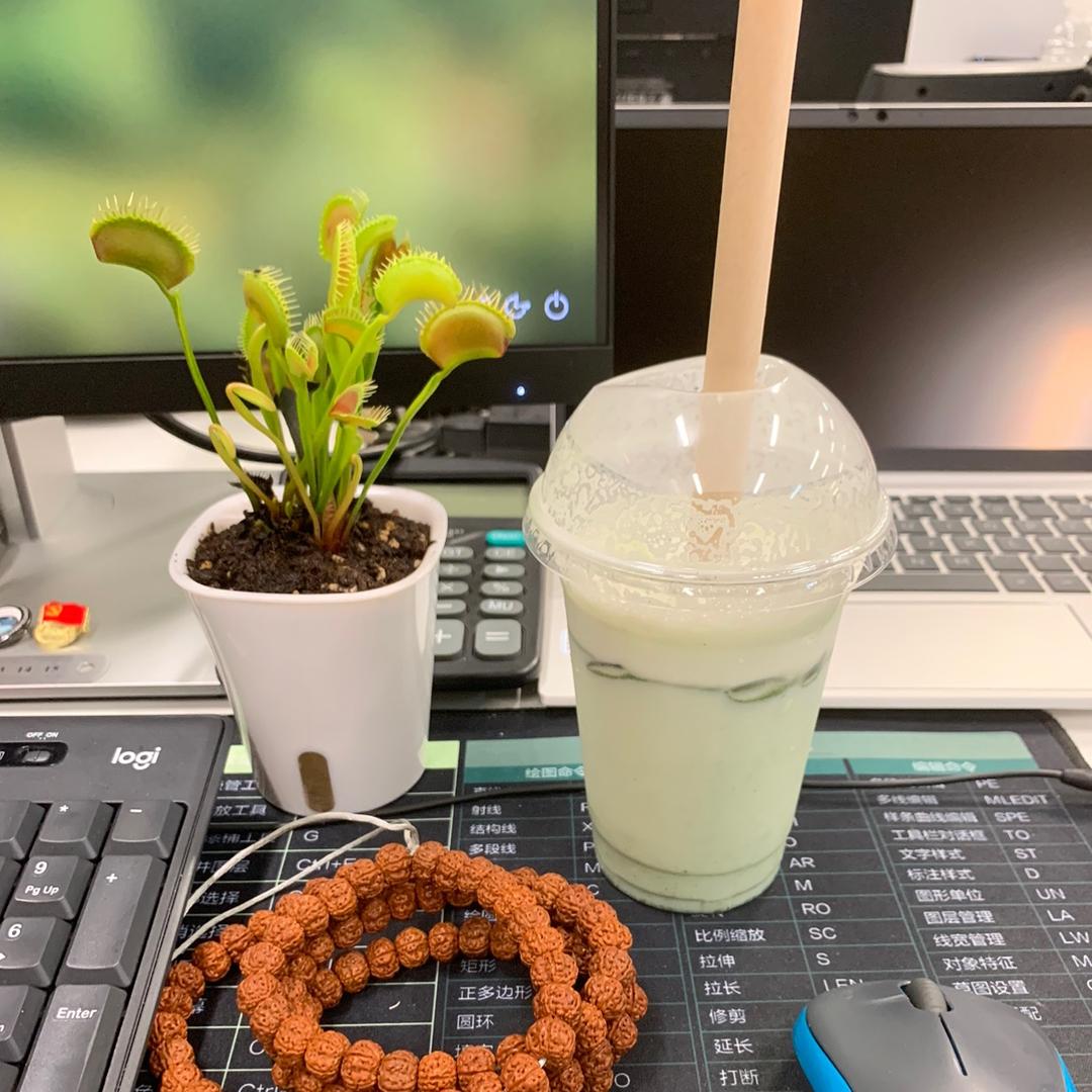 国家二级烧烤运动员