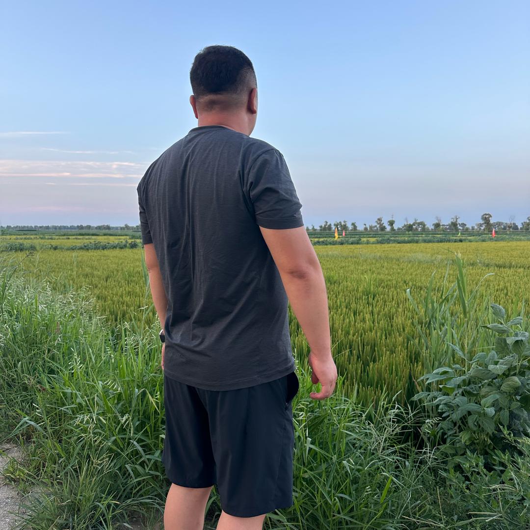 蟹蟹米盘锦河蟹