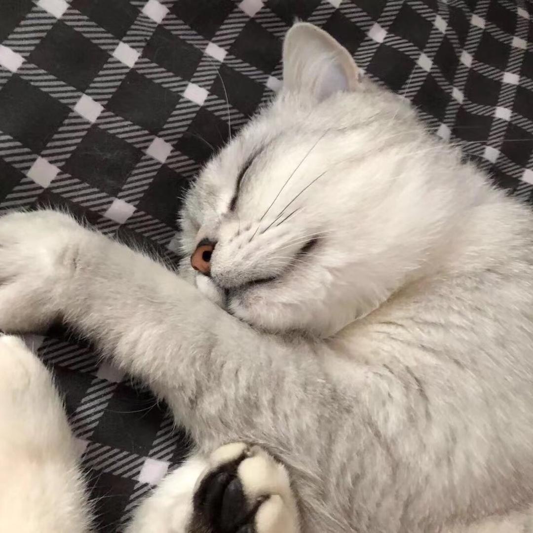 Hello！