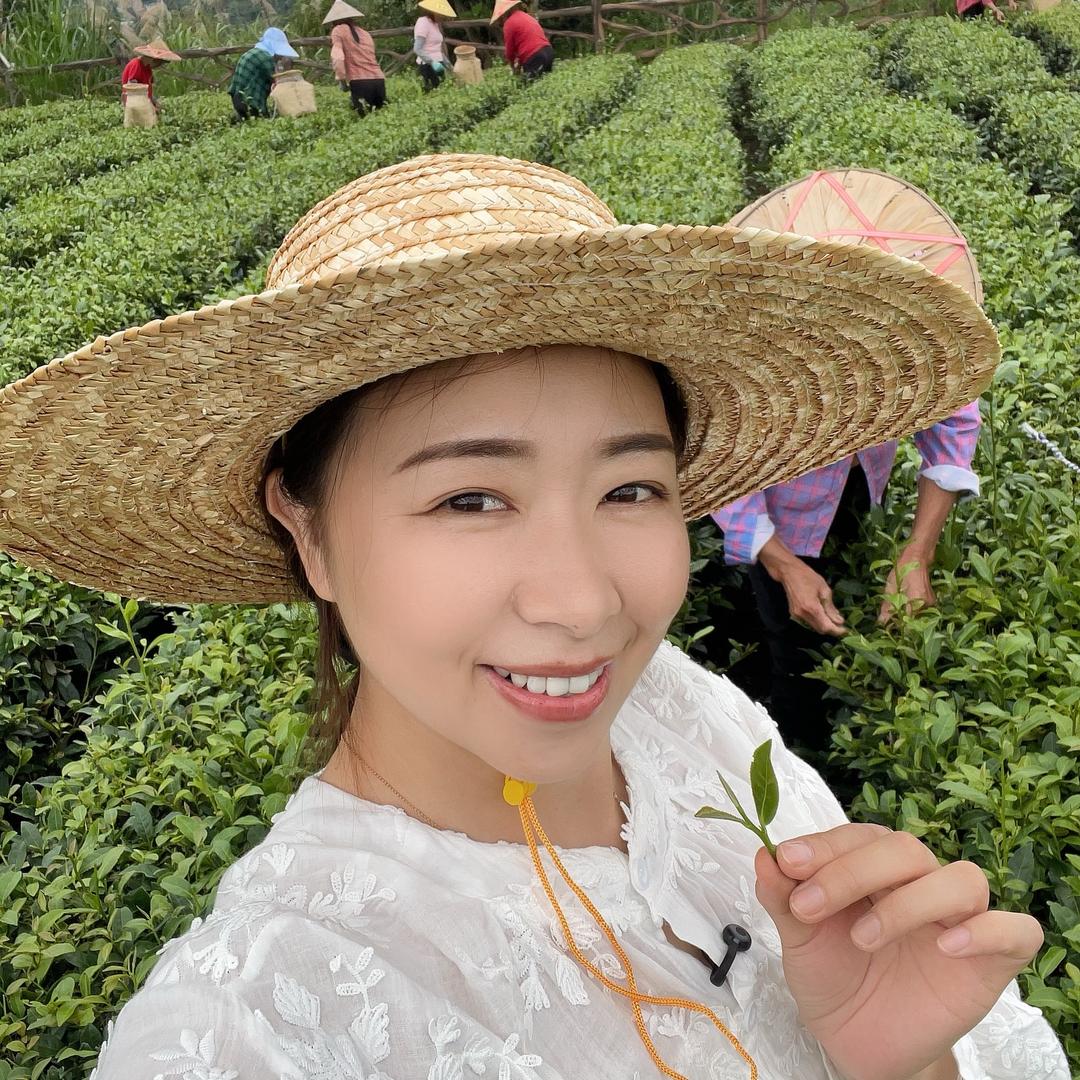 寻茶小叶甄选店