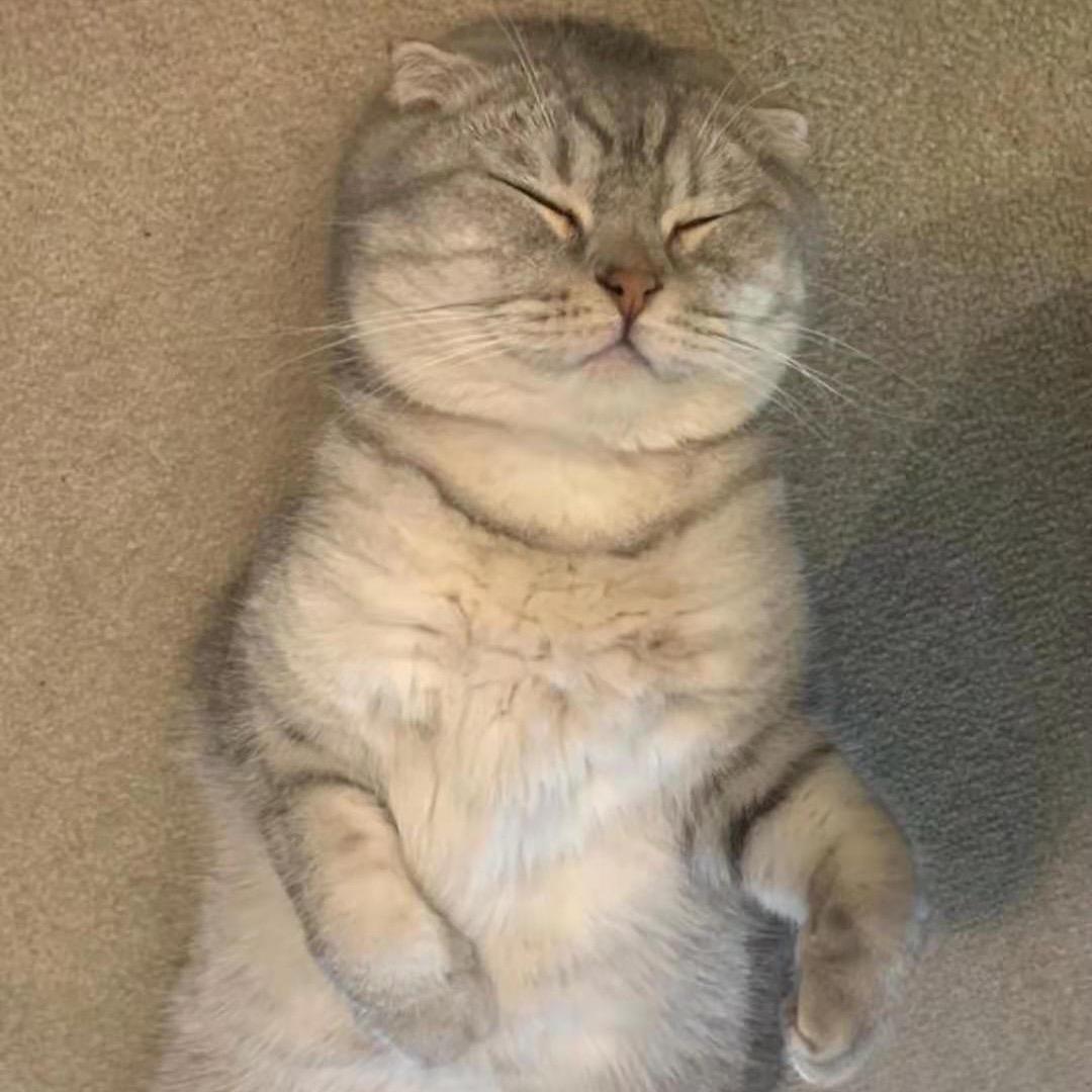 是嗯哼呀