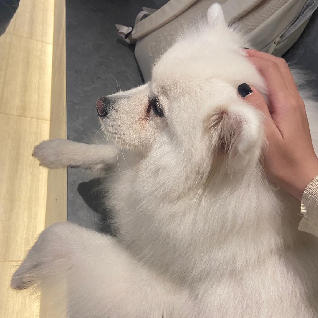 人类！
