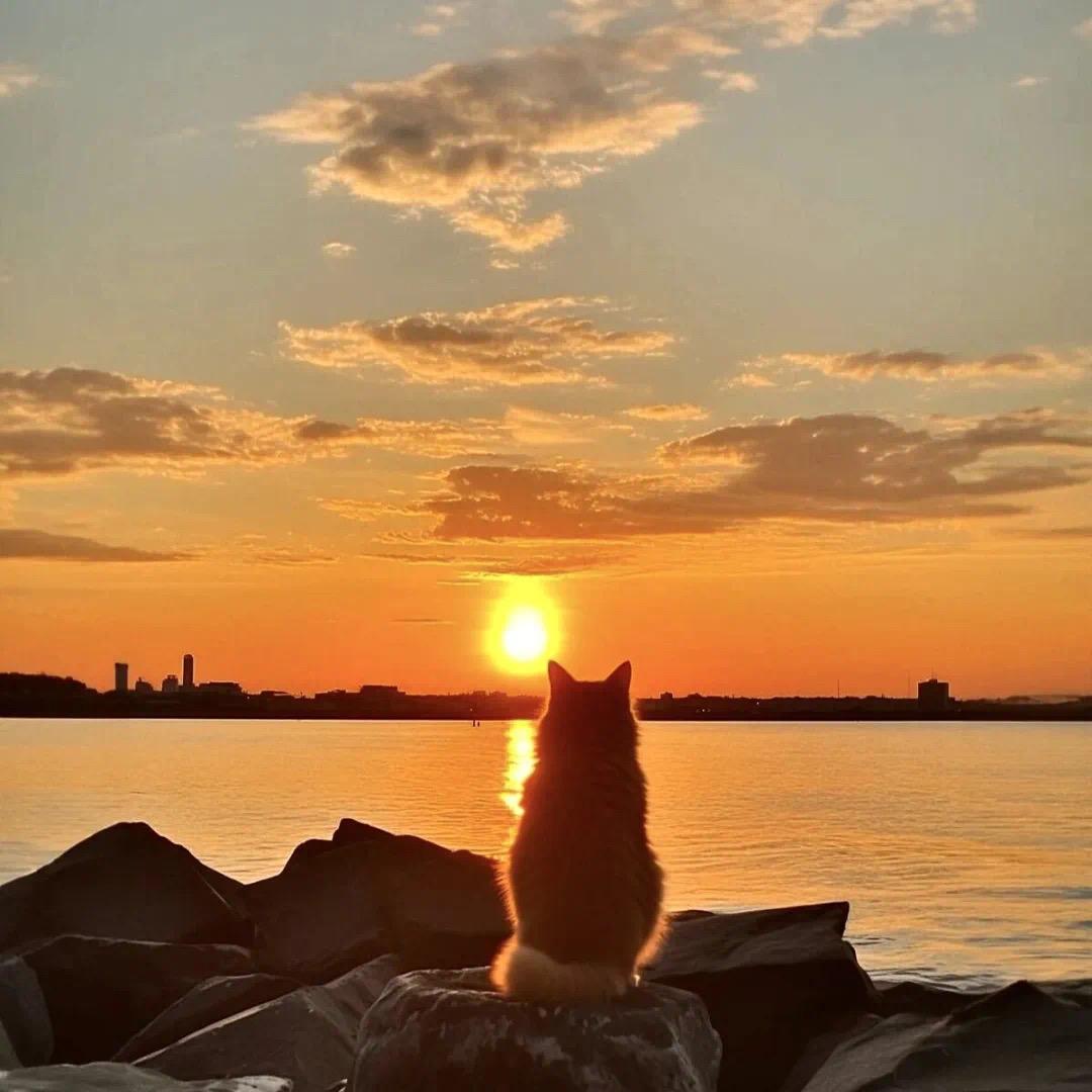 叮当睡着了🕶️