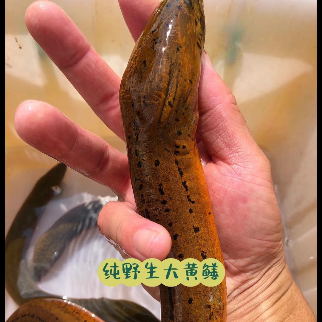 野—-