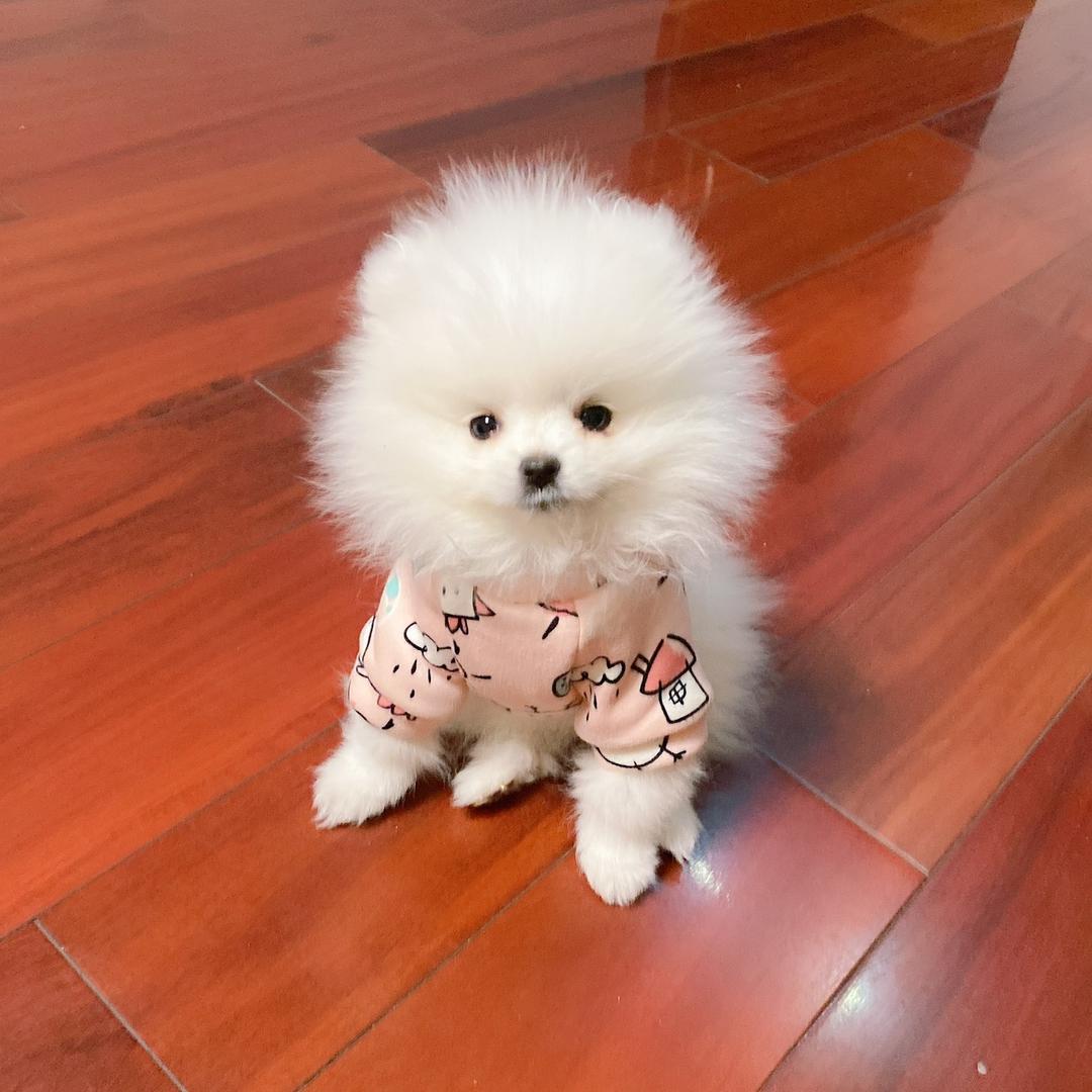 彩彩