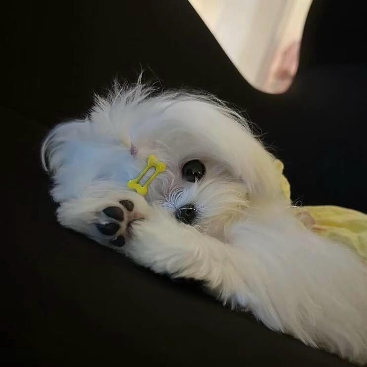 迟来的顿悟