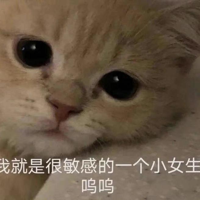 小马宝哩哩哩哩哩哩哩哩